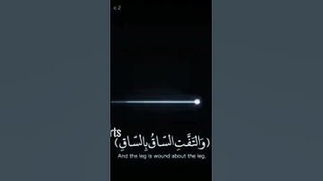 سوره القيامه الشيخ محمد شعبان أبو قرن #محمد_شعبان_أبوقرن #اكسبلور #حالات_واتس #قران_كريم