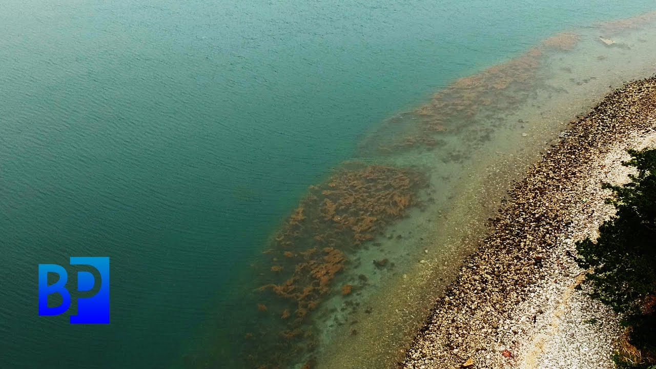 ゴロタサーフのショアジギング　海藻帯を突き抜けろ！