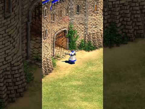 This is Why AoE2 Never Added Garrison Animations 💀