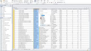Microsoft Access 2010 Video 23 Filtering
