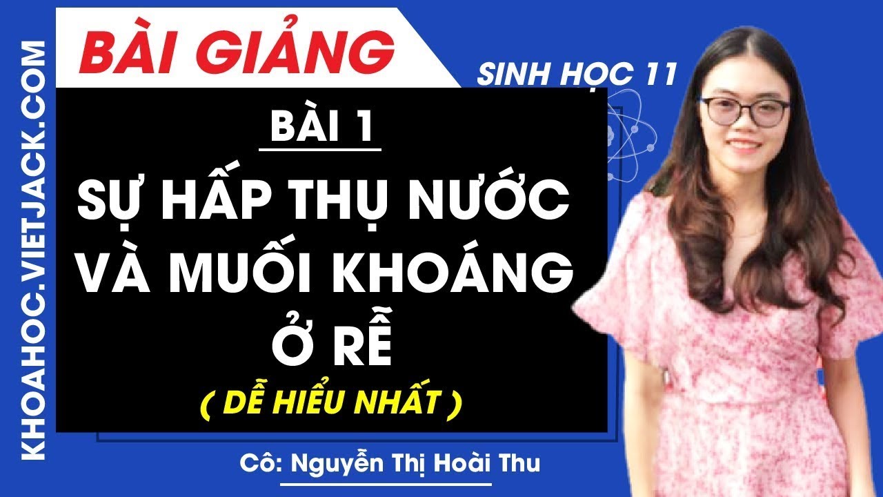 Sinh học 11 bài 1 | Sự hấp thụ nước và muối khoáng ở rễ – Bài 1 – Sinh học 11 – Cô Nguyễn Thị Hoài Thu (DỄ HIỂU NHẤT)