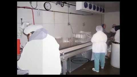 Conveyor Systems - Food Conveyors