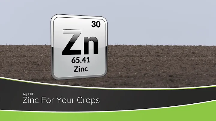 Zinc For Your Crops (From Ag PhD Show #1180 - Air Date 11-15-20)