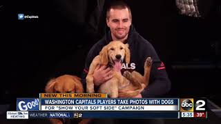 Washington Capitals players show their soft side screenshot 4