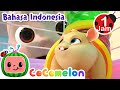 Lagu Peliharaan Kelas Kita | CoComelon Indonesia | Lagu Anak | Nursery Rhymes indonesia
