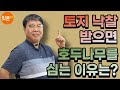 소액토지투자 공매로 농지 낙찰 후 몇배로 불린 이야기, 만사오케이의 돈되는 천만원 소액토지