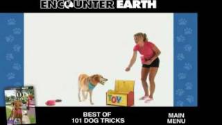 "Best of 101 Dog Tricks" DVD with Kyra Sundance "Best of 101 Dog Tricks" DVD with Kyra Sundance