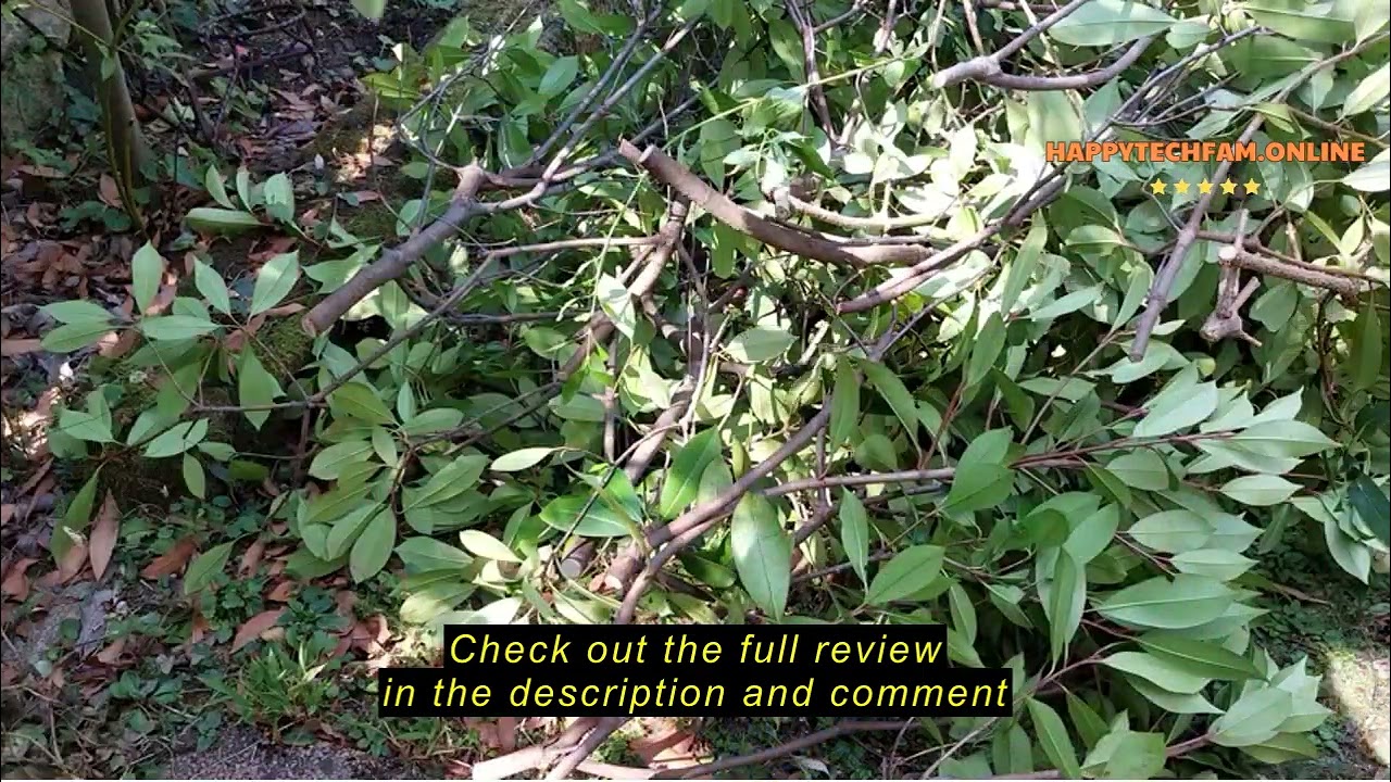 Review Seesii Electric Pruning Shears for Gardening: 1.8” Cutting Cordless Power Pruner - Brushless