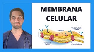 MEMBRANA CELULAR | BIOLOGÍA CELULAR