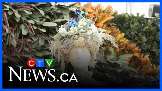 Download Lagu Pameran Fleurs de Villes kembali ke The Leaf MP3