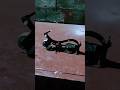 Tailant new technology scooty electric #new #shorts #viral #video #technolyge #youtube #india 🏍🛵🛵🏍🏍