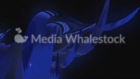 Abstract blue growing and twisting tree roots on black background. Animation. Glowing viscous