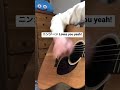ニンジーン Loves you yeah! ランカリー 弾き語り
