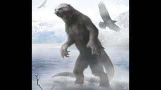 Robin Haynes McCray Is Back! Conversation Includes: Bigfoot, Otterman, Pixies, Dogman, ET's & More.