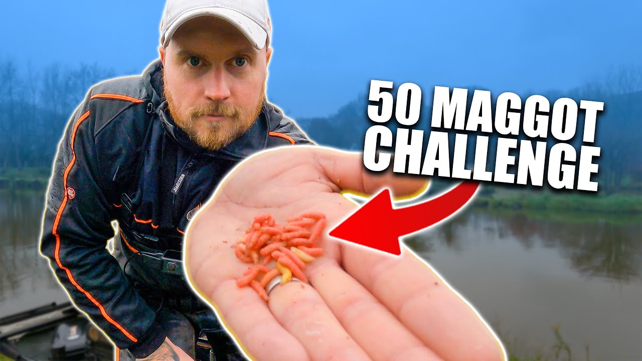 The Ultimate Carp Fishing Challenge 50lbs with 50 Maggots YouTube