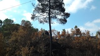 Jimi Floyd - Hot Zone Zombie Alert