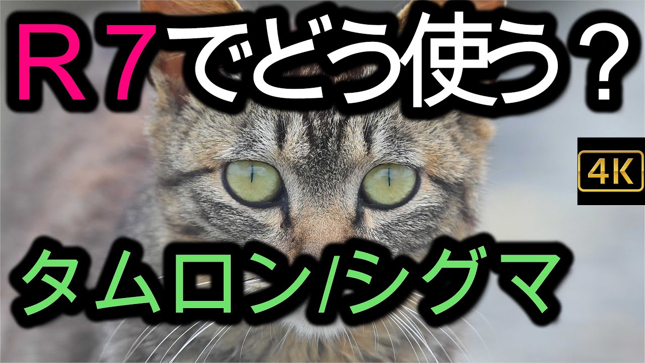 R7でどう使う？サードパーティー製レンズ。 - YouTube