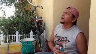 Download Lagu Lapar cover by gazal MP3