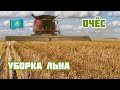 Уборка льна очесывающей жаткой