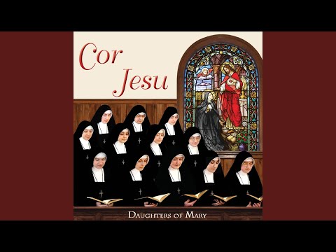 Cor Jesu, Cor Purissimum