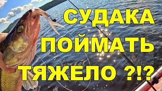 видео: Ловля судака в Финляндии: термоклин, странные уловы и неожиданный финал картинка: Ловля судака в Финляндии: термоклин, странные уловы и неожиданный финал