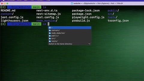 Making your terminal cool [Fish Shell | OMF | AutoSuggestions and more]