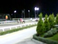 carrera hipodromo de las americas - YouTube