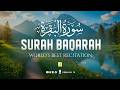 Surah AL BAQARAH Full (سورة البقره) Ultimate Deep Emotional Healing Quran Recitation | Zikrullah TV