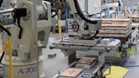 Robot palletizer - Okura robot - Sealing System