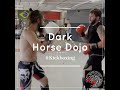 Dark Horse Dojo