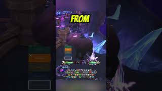 Midnight - Hidden Nexus Pet