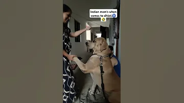 Amma Mom Love Mothersday Amma Youtubeshorts Youtube Dog Doglove Home 