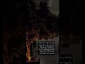 جاملت بعض الناس قدر المستطاع