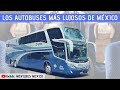 Top 5|Las líneas de autobuses más lujosas de México|