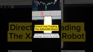 Directly Live Trading Performance The Gold Robot #forexrobot #shorts