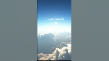 سورة التكاثر بصوت ماهر المعيقلي ماشاء الله 🤍راحة نفسية