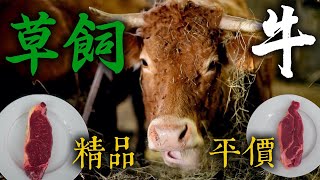 草飼牛比穀飼牛更美味精品/平價 草飼牛 PK