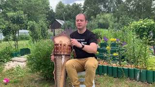 Обзор на подарочный набор шампуров на деревянном щите