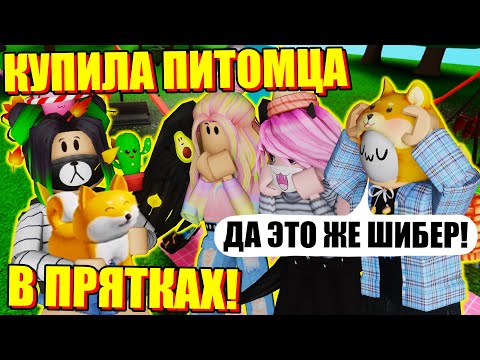 Видео: ПРЯТКИ, НО Я КУПИЛА СЕБЕ ШИБЕРА! Roblox Hide and Seek