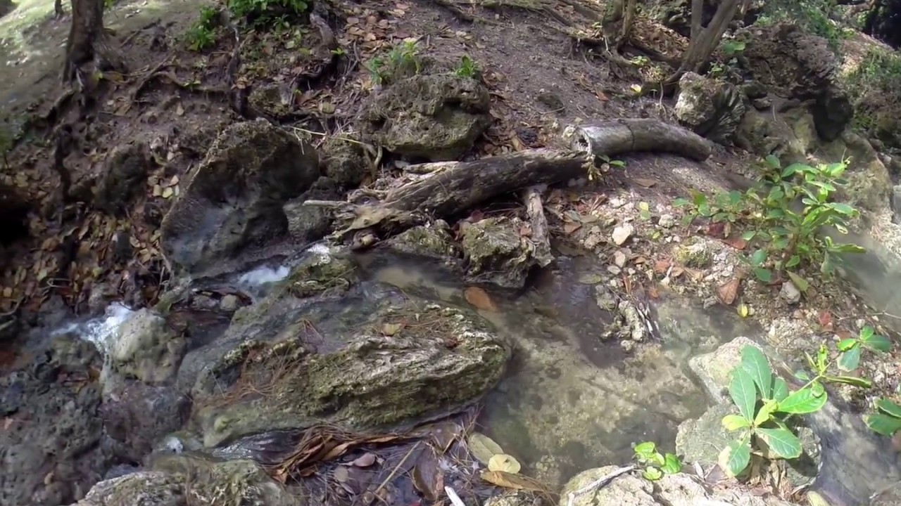 Streams at Bath Beach, Barbados YouTube