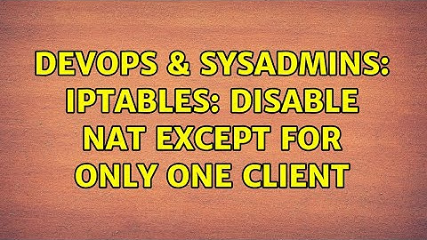 DevOps & SysAdmins: iptables: disable NAT except for only one client