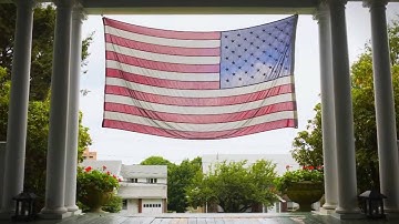 Precise Pet Brand Video