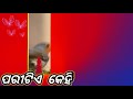 Paritie Kehi Bata bana Hoi-Odia Video Songs//Odia WhatsApp status songs Mp3 Song