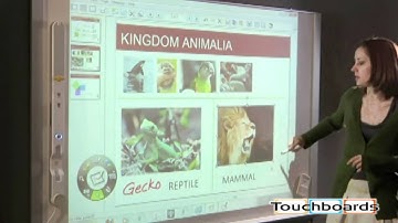 eBeam Engage Interactive Whiteboard  Device