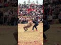 #Mixed wrestling competition for men and women#Funny wrestling videos#Beauty wrestling