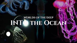 The Ocean’s Darkest Secret: What Lies Beyond the Reach of Light