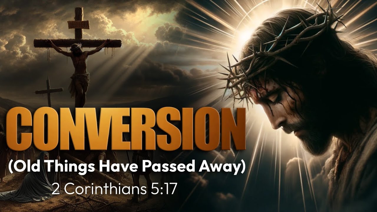 The Life-changing Power of a New Life in Christ #newcreation - YouTube