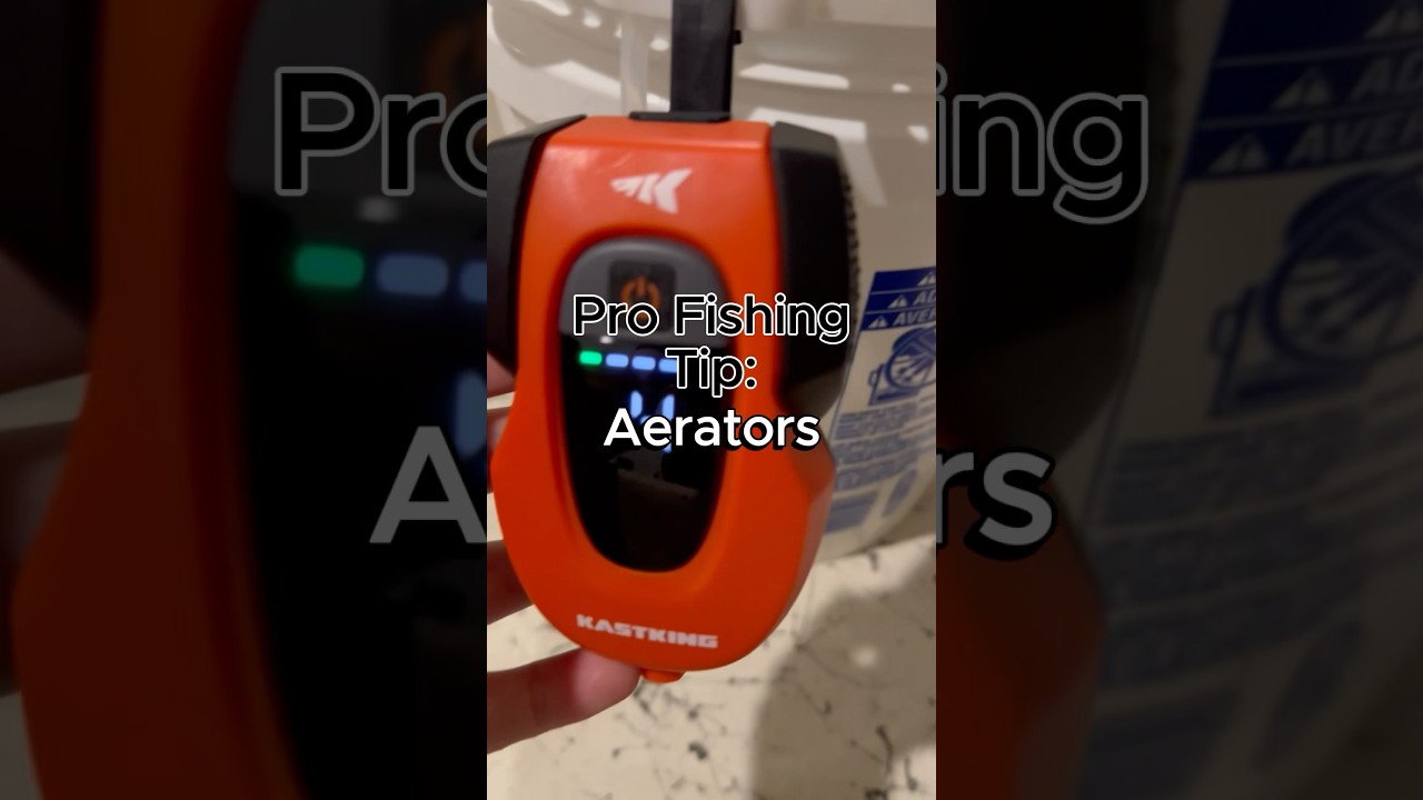 How to keep live bait alive 