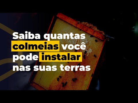 Descubra o número de colmeias que poderão ser instaladas em sua propriedade