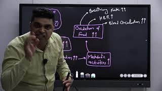 Nervous System 01 | CLASS XI | BIOLOGY | NEET-UG | OpenNEET | OpenED screenshot 1